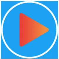 Practicle logo
