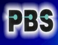 Prakash Business Solutions