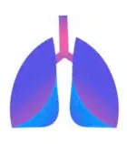 Prana Thoracic logo