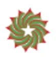 PranaVital logo