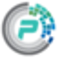 Premier Data Services logo
