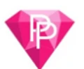 PRETTYPARTY logo