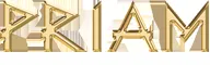 PRIAM Software logo