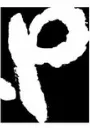 Primary Talent logo