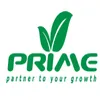 Prime Infoserv logo