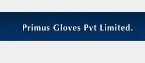 Primus Gloves