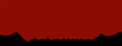 Priority Personnel logo
