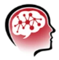 Proactive RISK logo