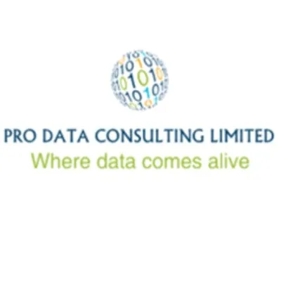 ProData Consulting logo
