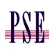 Professional Systems Engineering logo