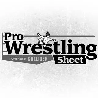 Pro Wrestling Sheet logo