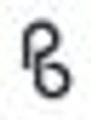 Prudent Bio