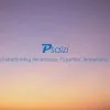 Psaizi