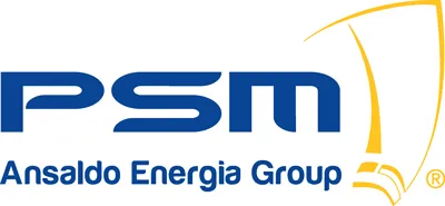 PSM logo