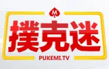 pukemi logo