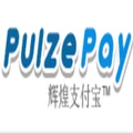 PulzePay logo