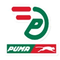 Puma Fastpay logo