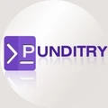 Punditry