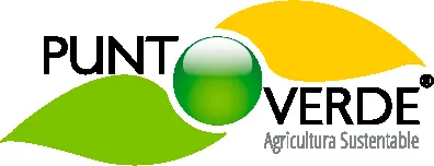 Punto Verde logo