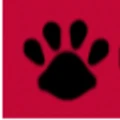 Pupcentral logo