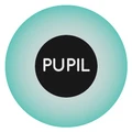 Pupil Labs logo