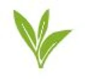 Pure Leaves logo