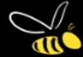 Pure Peninsula Honey logo