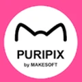 PURIPIX logo