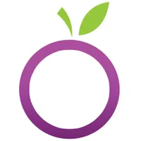 PurpleApple Infosystems logo