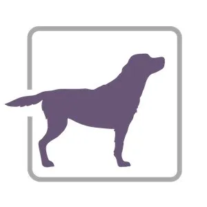PurpleLab logo