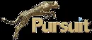 Sonic By Pursuit logo