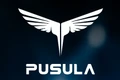 Pusula International