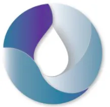 Parkway Process Solutions logo