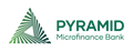 Pyramid MFB logo