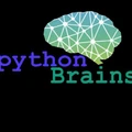 Python Brains