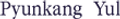 Pyunkang Yul US logo