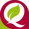 Q Spice logo