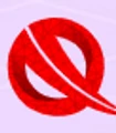 QBrainX