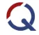 QInstruments logo