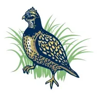 Quailtools logo