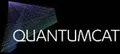 QuantumCAT logo