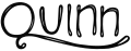Quinn Snacks logo