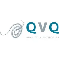 QVQuality