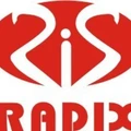 Radix Info Solutions