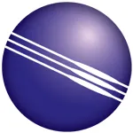 RAE Systems logo
