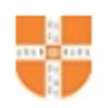 Rai University logo