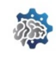 RAIO Solutions