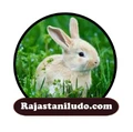 Rajasthani ludo logo