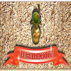 Rameswar Agro