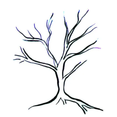 Random Forest Capital logo